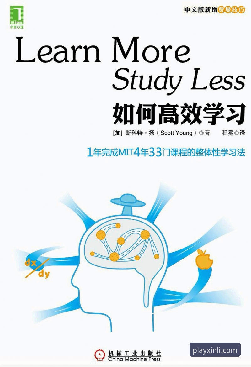 如何高效利用新利体育直播服务？从下载到观赛的实战指南